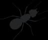 Ant Control