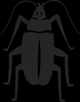 Cockroaches