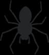 Spider Treatment