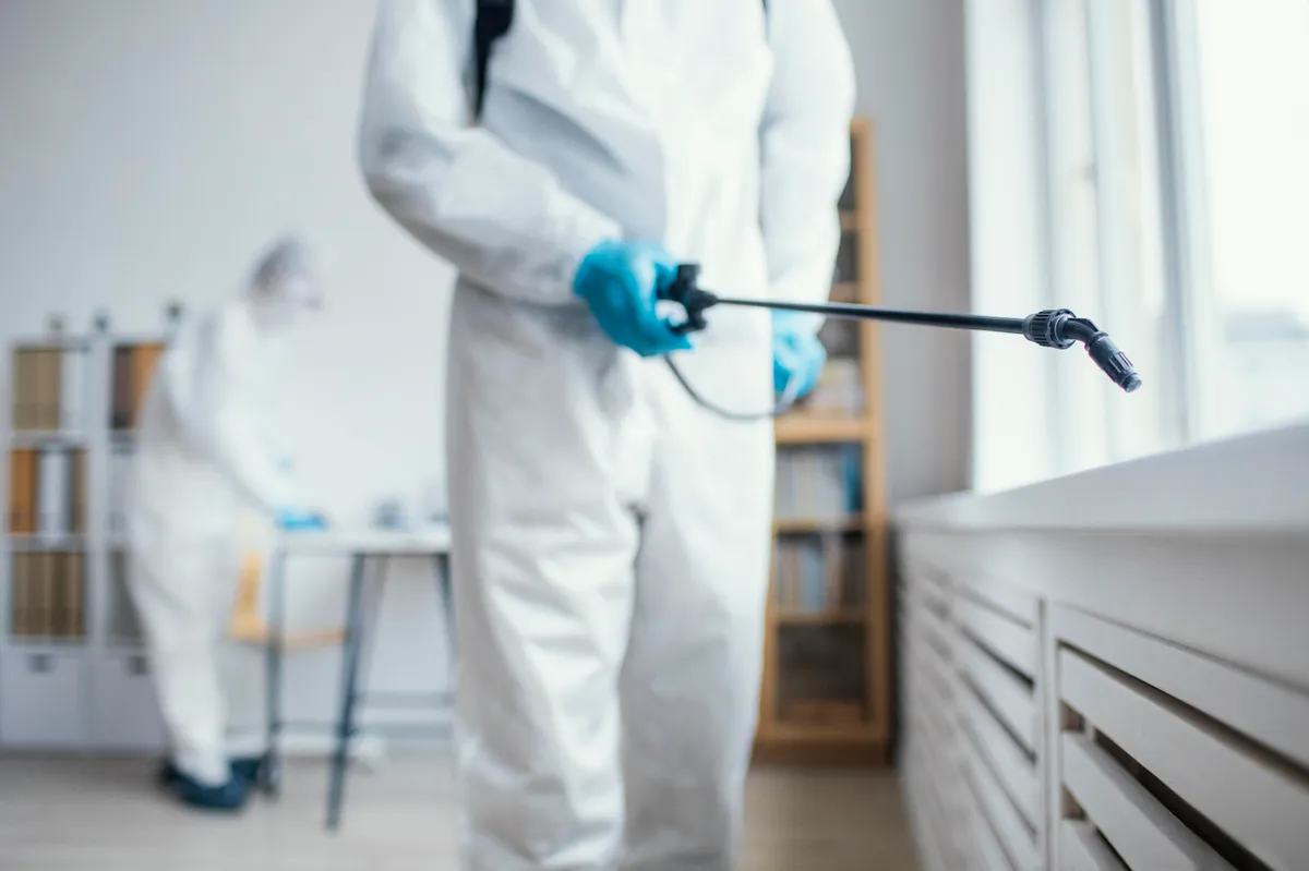 Commercial pest control in office environment