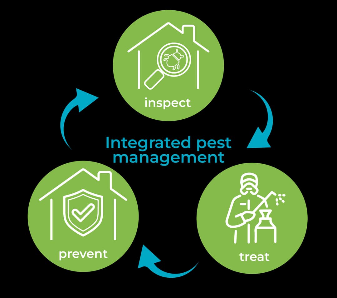 Integrated Pest Management cycle: Inspect, Treat, Prevent